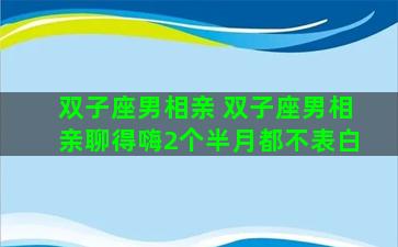 双子座男相亲 双子座男相亲聊得嗨2个半月都不表白